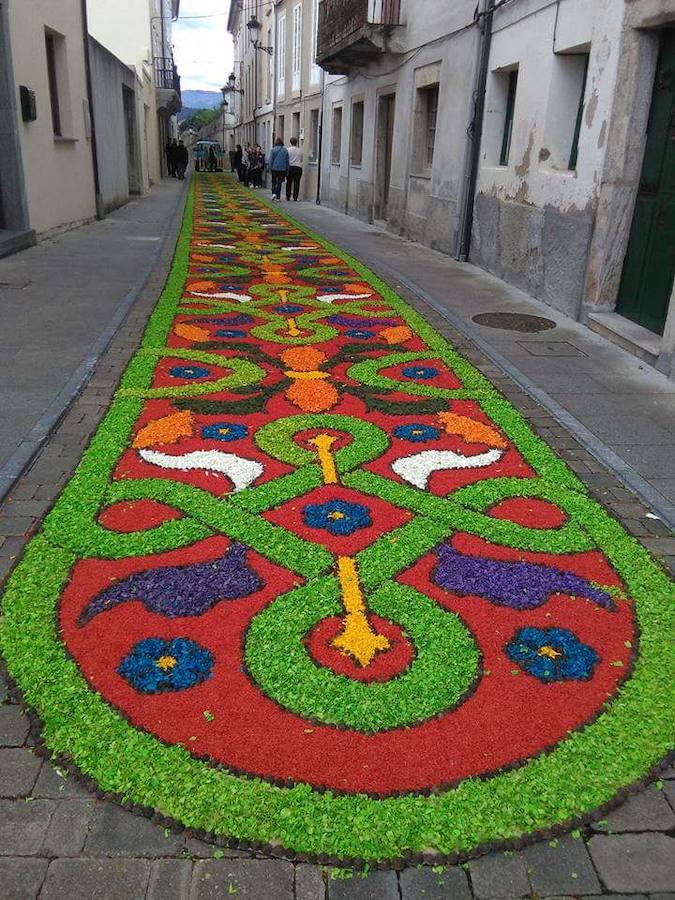 Alfombras florales en Castropol