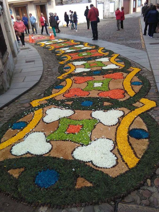 Alfombras florales en Castropol