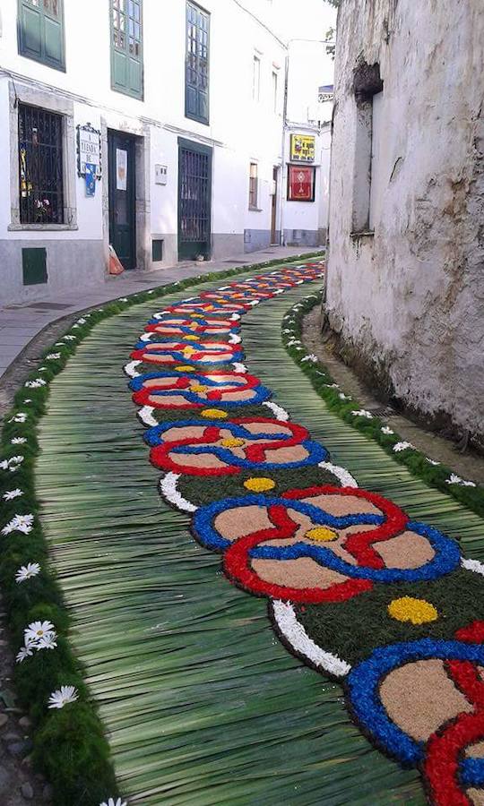 Alfombras florales en Castropol