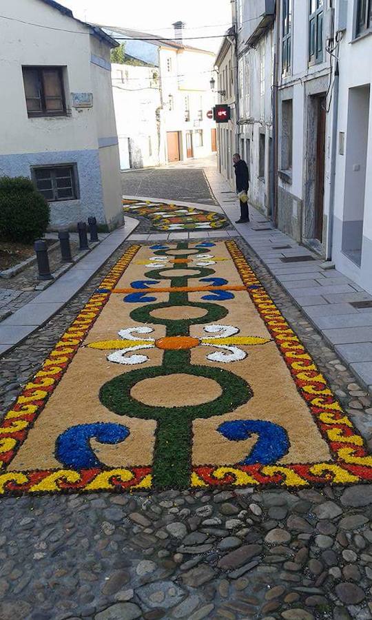 Alfombras florales en Castropol