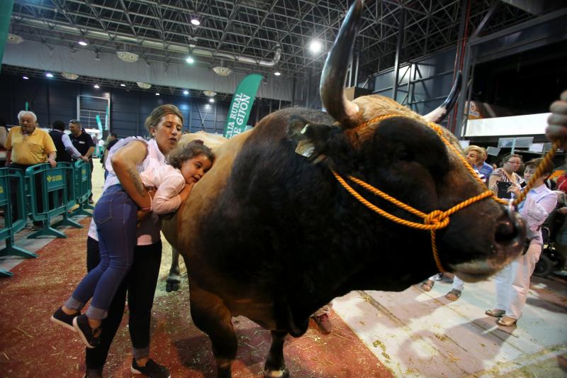 Gijón despide la feria de San Antonio