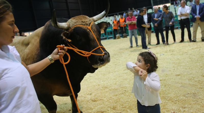 Gijón despide la feria de San Antonio