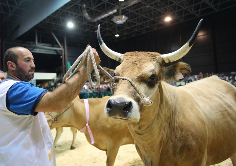 Gijón despide la feria de San Antonio