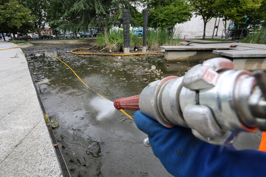 Continúan sacando cangrejos rojos en el estanque de la plaza de Europa