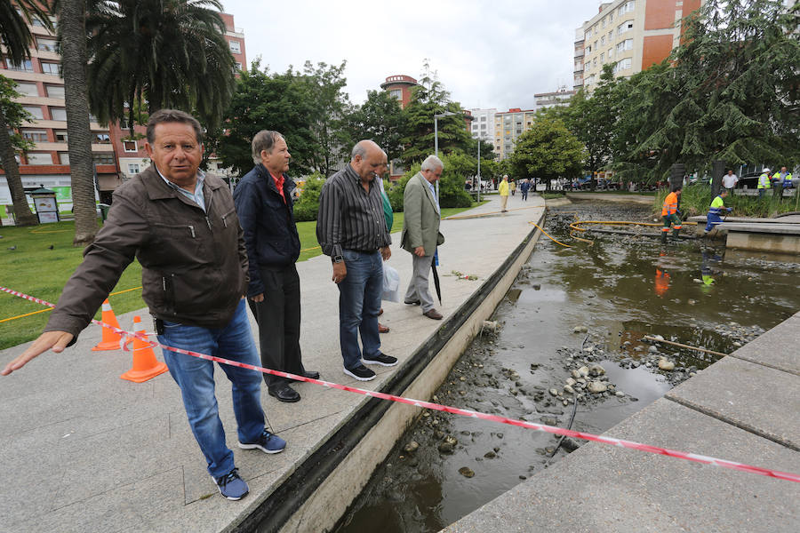 Continúan sacando cangrejos rojos en el estanque de la plaza de Europa