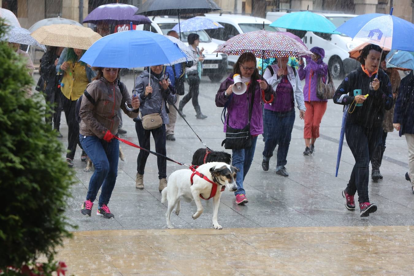 Concentración a favor de una perrera en Avilés