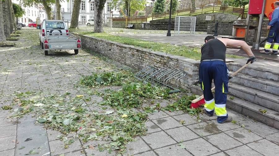 Las secuelas del granizo y la lluvia en el Suroccidente y Siero