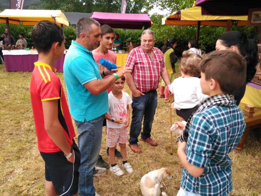 I Festival Interregional &#039;Eu son Eo&#039;