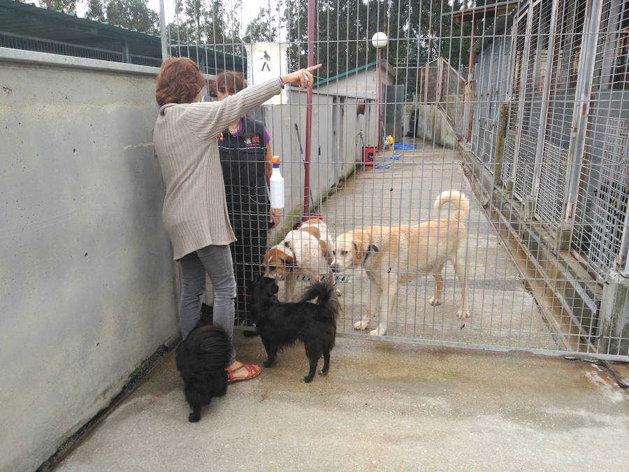 Susana de la Rubia habla con Pilar, una de las trabajadoras del Albergue de Serín