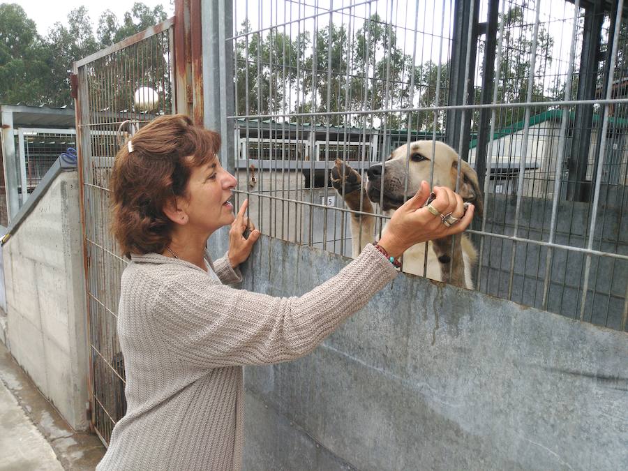 Susana de la Rubia, junto a la perra Marga