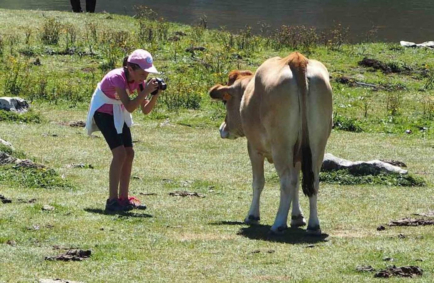 Lleno en los Lagos de Covadonga