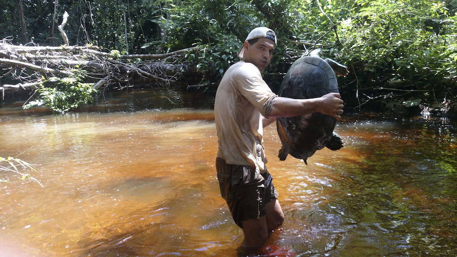 Frank Cuesta, un aventurero entre animales