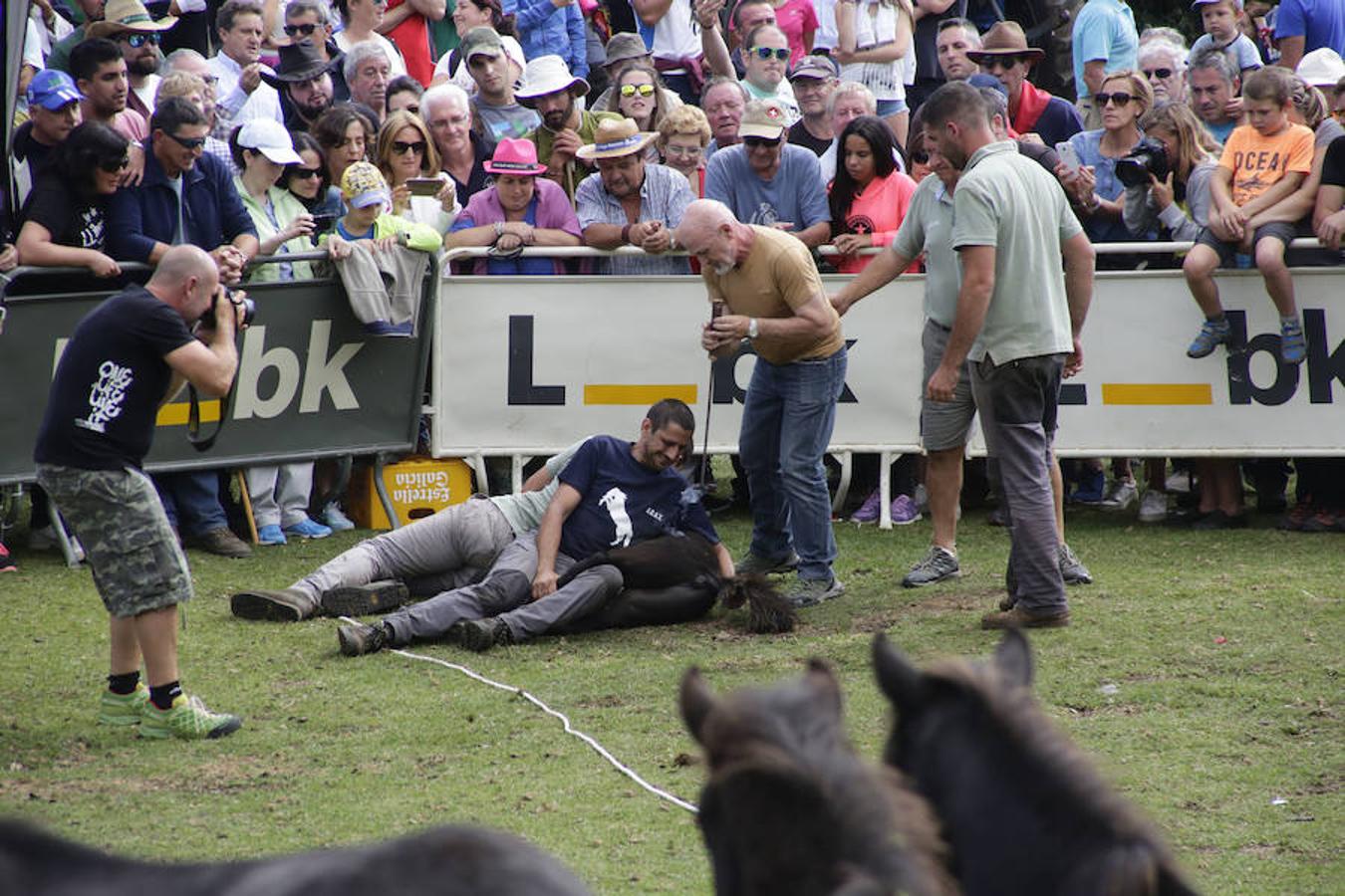 La Fiesta del Asturcón en la majada de Espineres