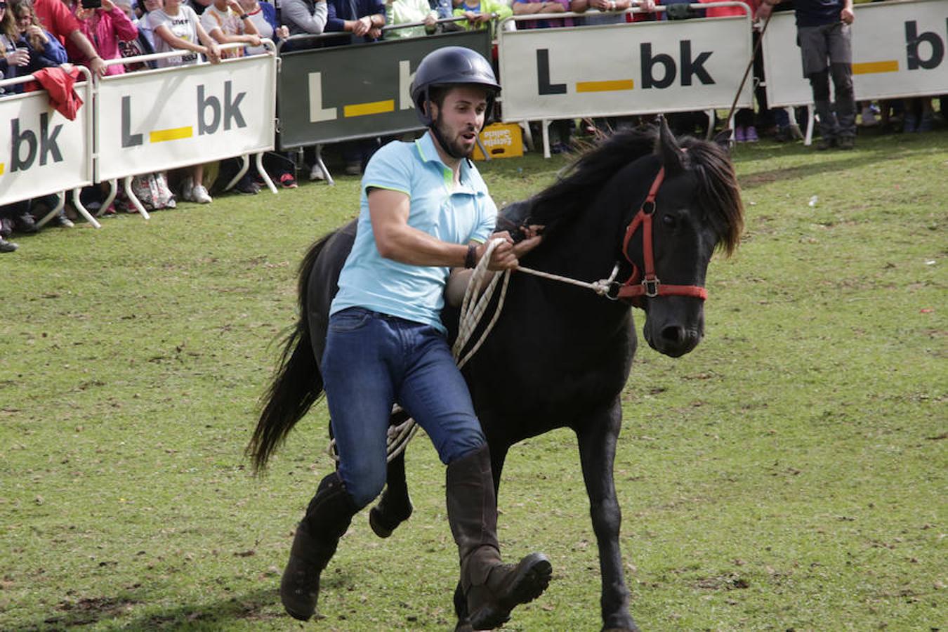 La Fiesta del Asturcón en la majada de Espineres