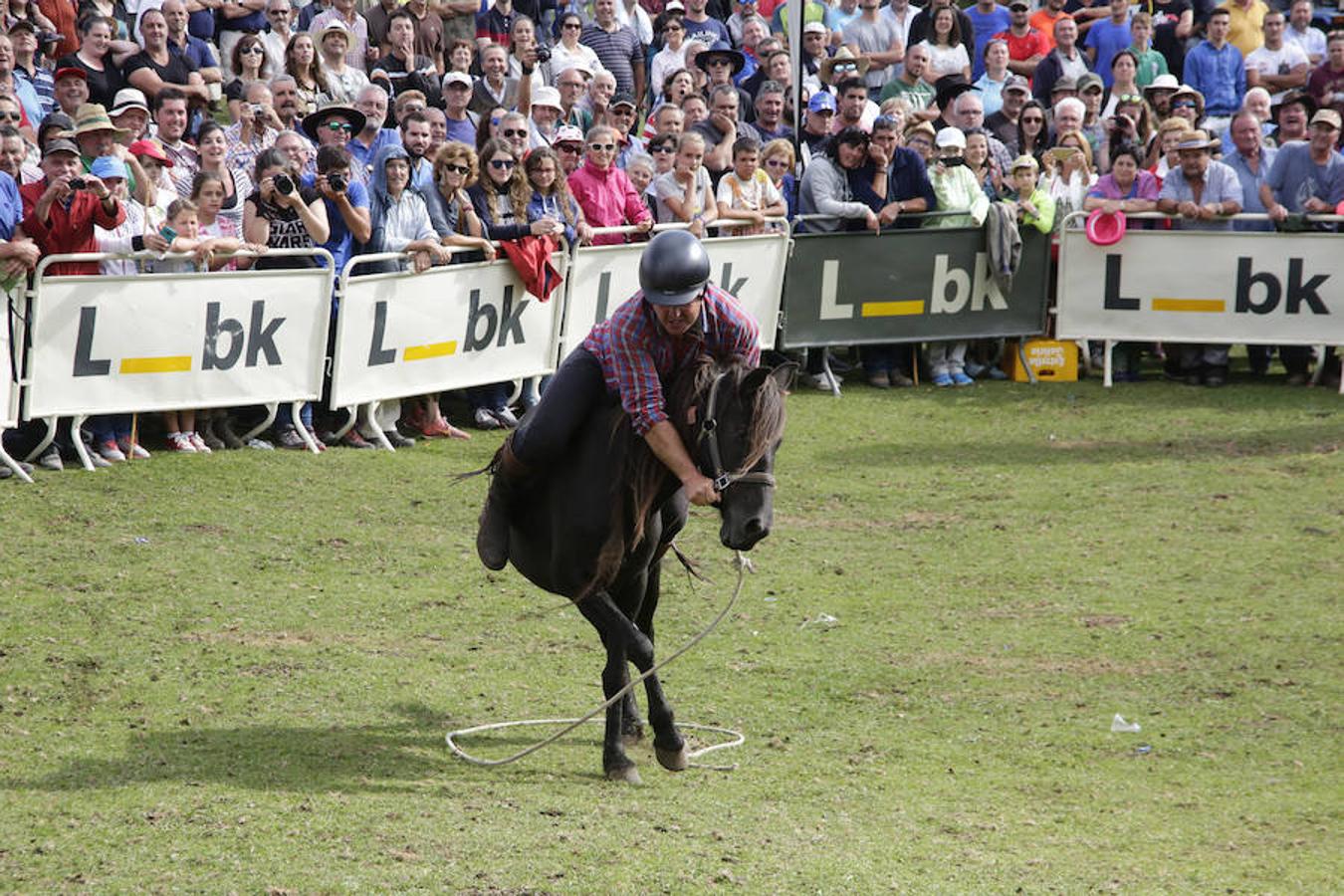 La Fiesta del Asturcón en la majada de Espineres