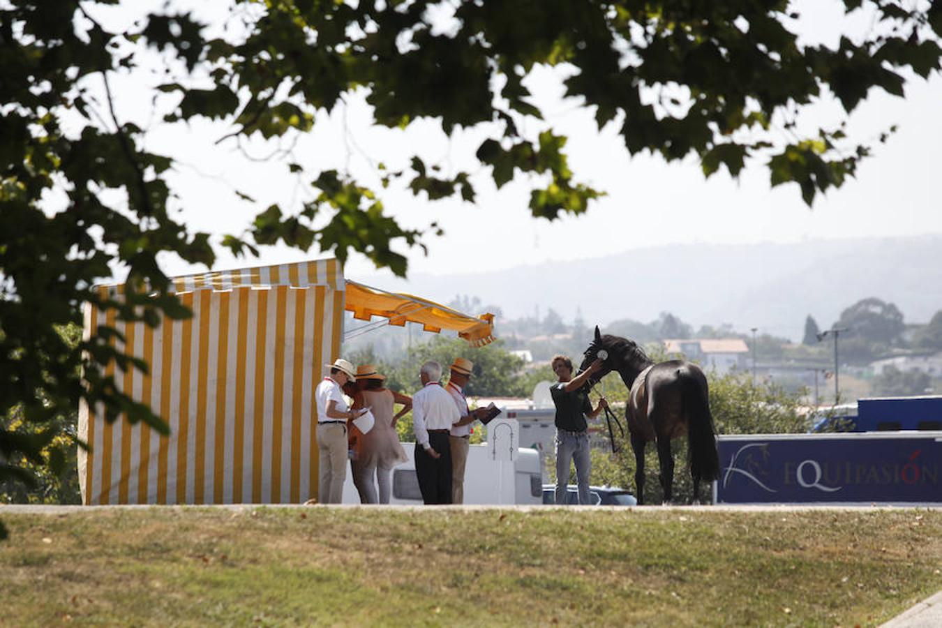 Todo a punto en Las Mestas para el Concurso de Saltos Internacional