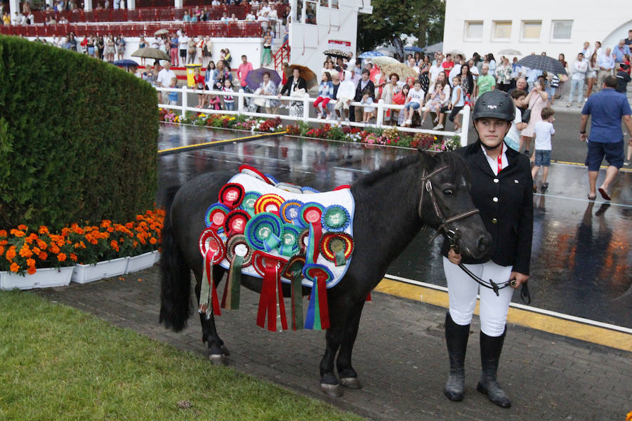 Comienza el Concurso Internacional de Saltos de Gijón