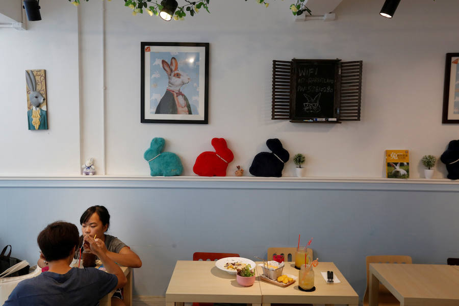 Café para los amantes de los conejos en Hong Kong