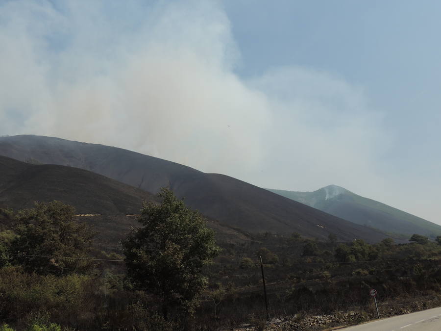 Incendio en Degaña