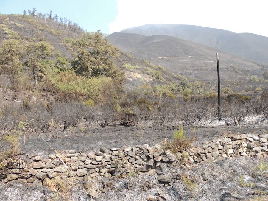 Incendio en Degaña