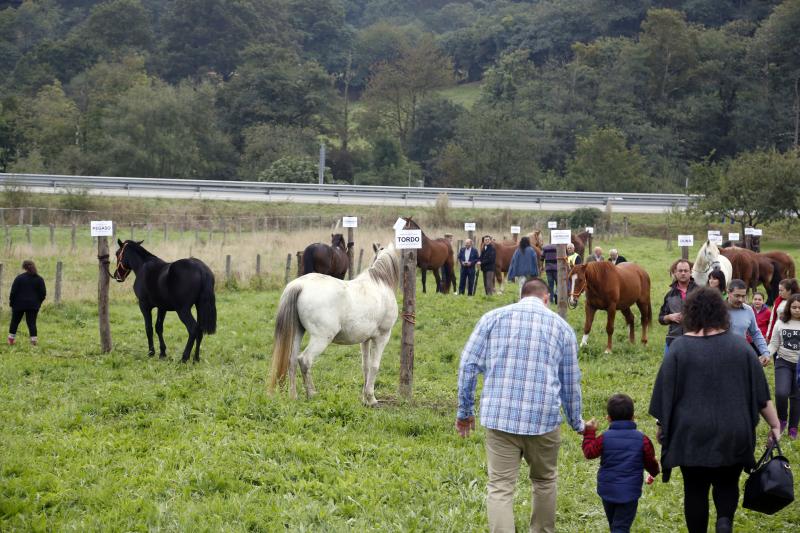 San Julián celebra las fiestas del Rosario