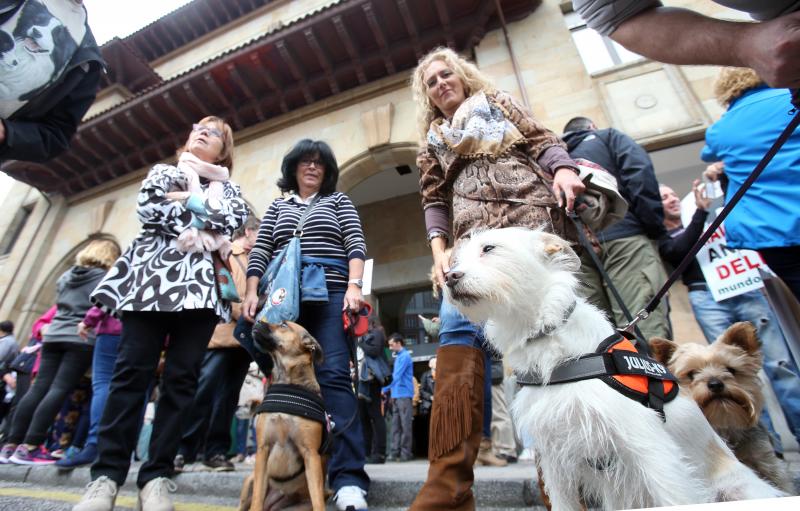 Manifestación contra los sacrificios en la perrera de Oviedo
