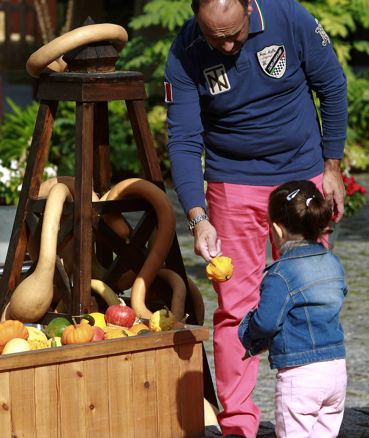 El Botánico de Gijón celebra el Día de las Calabazas