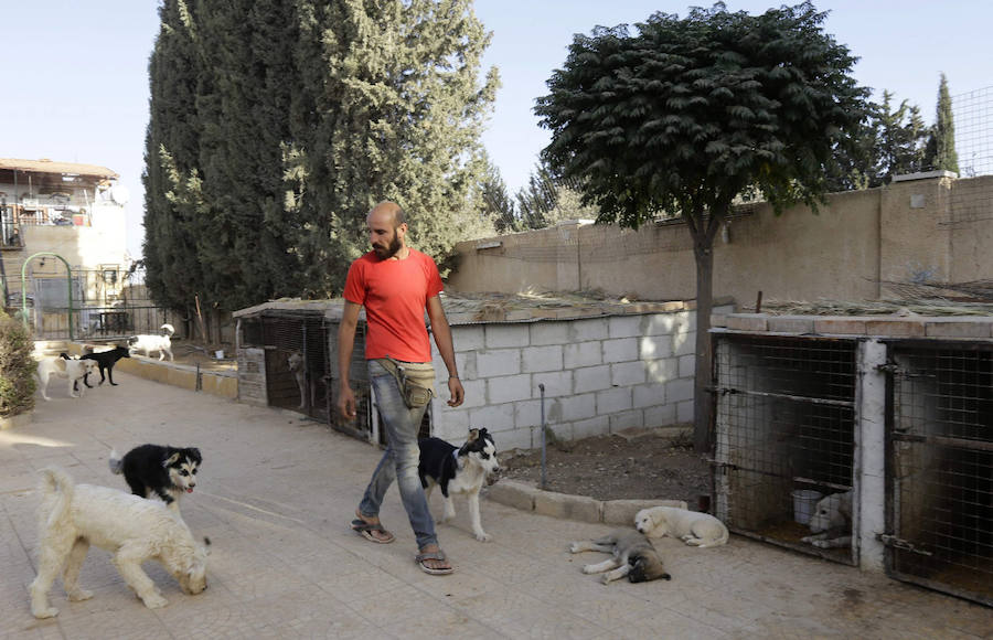 Refugio de guerra para mascotas en Siria