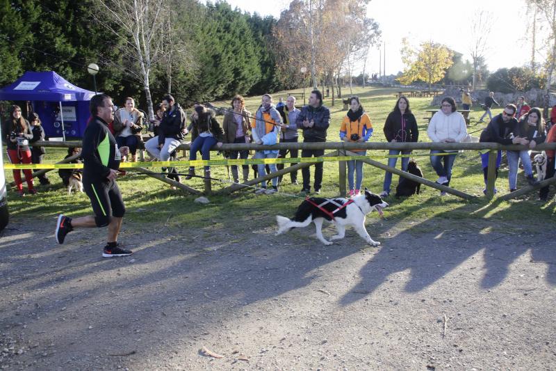 Mushing ‘Los Bufones de Pría’