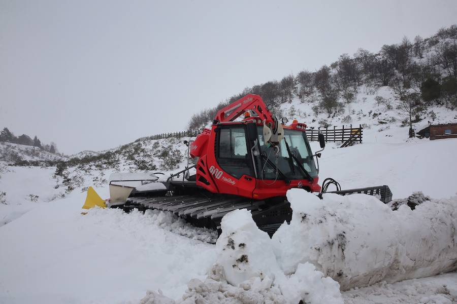 La nieve cubre Asturias a la espera de una ola de frío siberiano