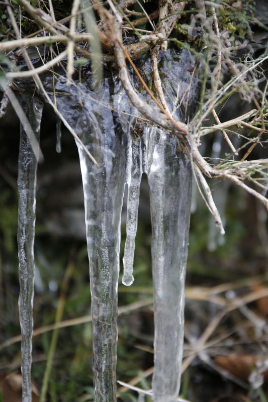 Las increíbles imágenes que deja la ola de frío en Asturias