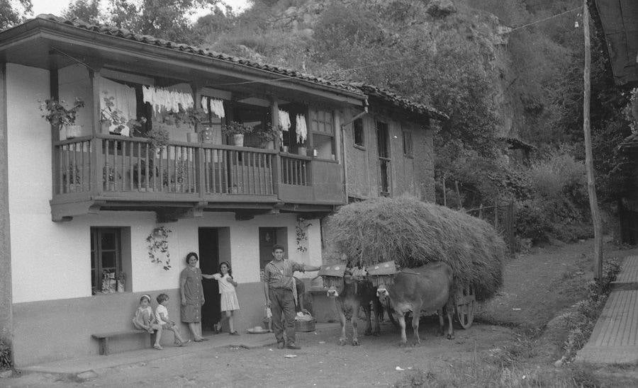 El legado de Eladio Begega