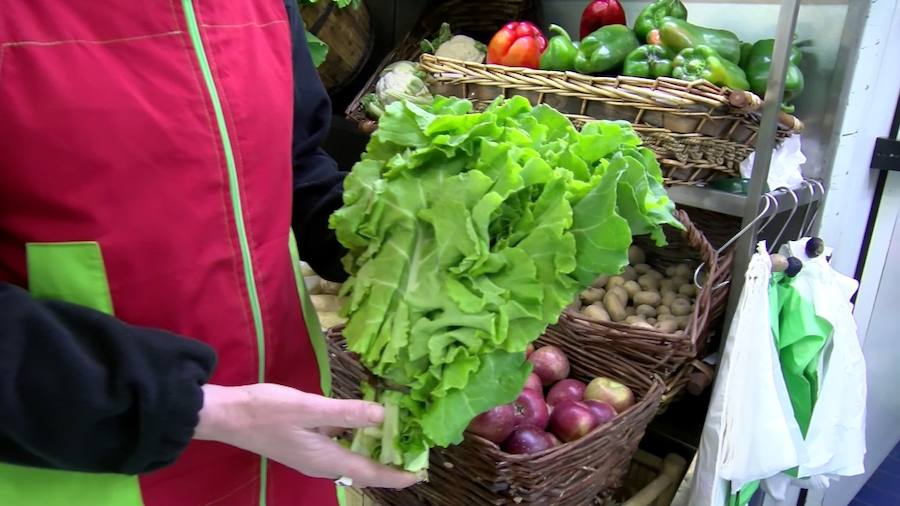 La berza, amarilla y muy dura»