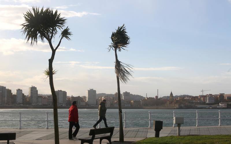 Las imágenes que deja el temporal en Asturias