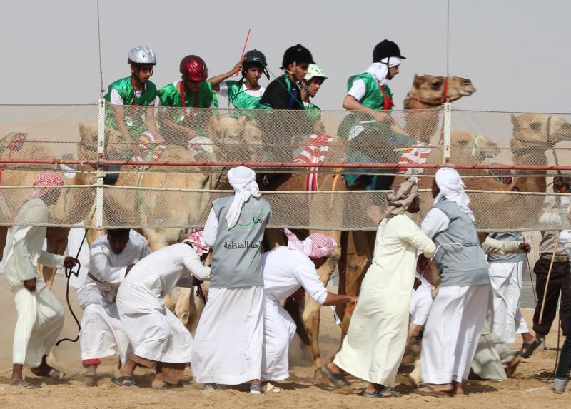 Presumiendo de camellos