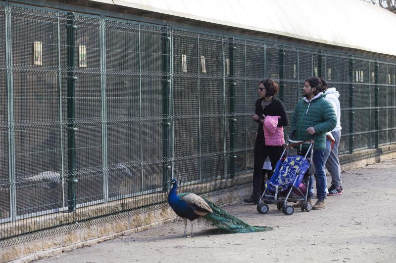 La fauna del parque de Isabel la Católica