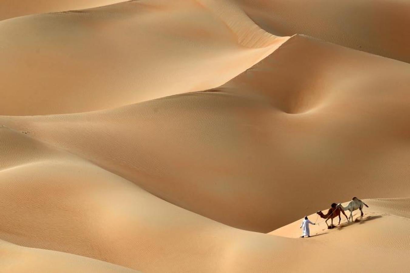 La belleza del desierto