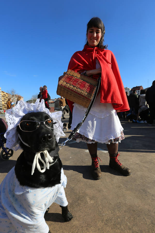 I Concurso de Mascotas Antroxaes