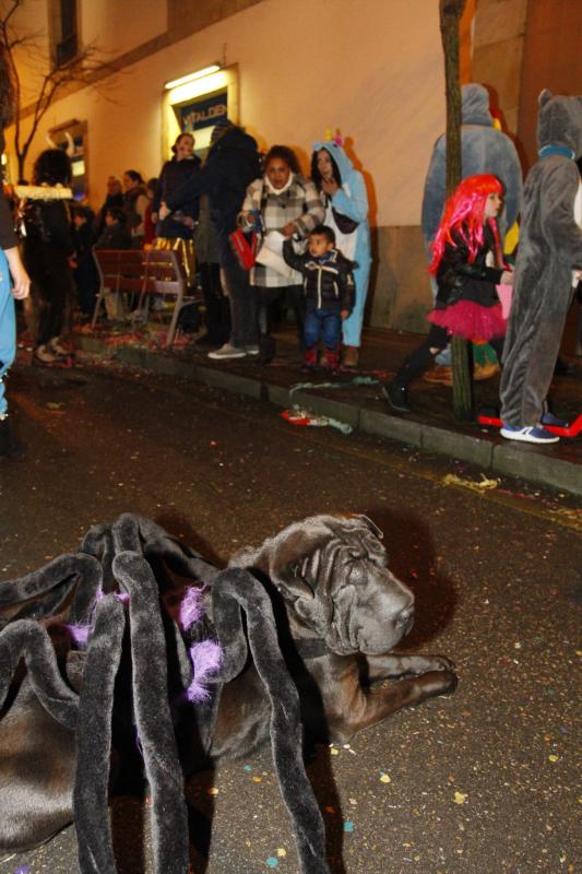 Gran Desfile d’Antroxos, Moxigangues y Carroces