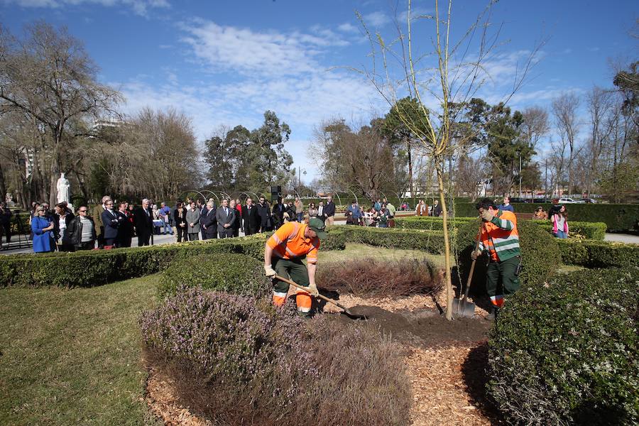 El parque de Isabel la Católica recupera el sauce de Jovellanos