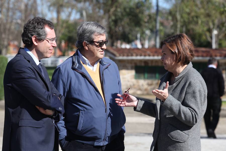 El parque de Isabel la Católica recupera el sauce de Jovellanos