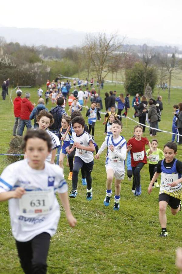 Campeonato de Asturias de cross escolar en La Morgal (II)