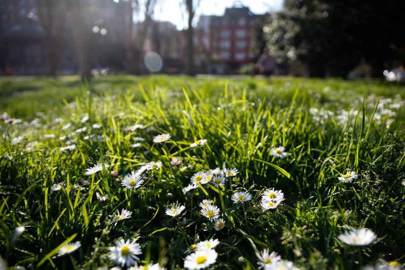 Las imágenes más impactantes de la primavera en Asturias