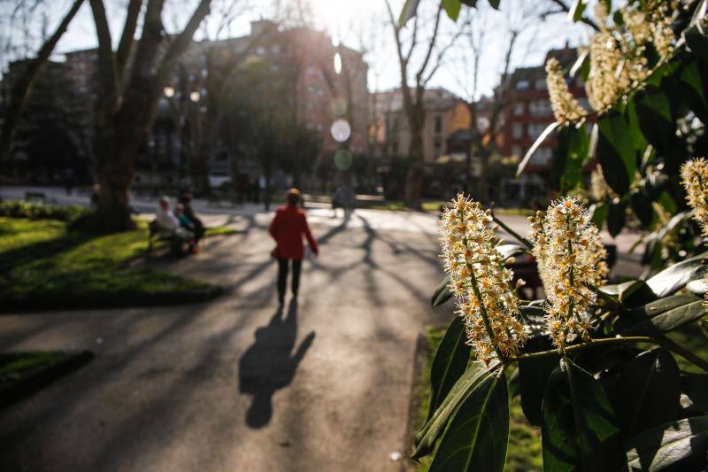 Las imágenes más impactantes de la primavera en Asturias