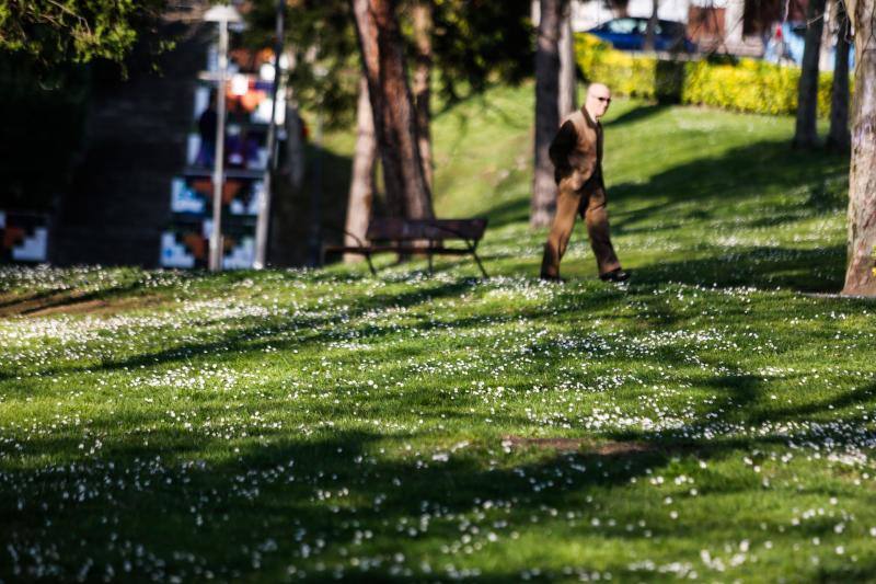 Las imágenes más impactantes de la primavera en Asturias