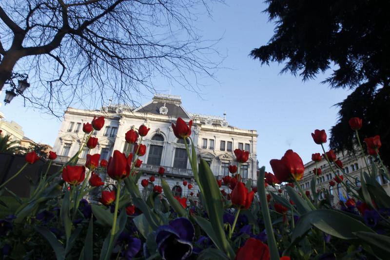 Las imágenes más impactantes de la primavera en Asturias