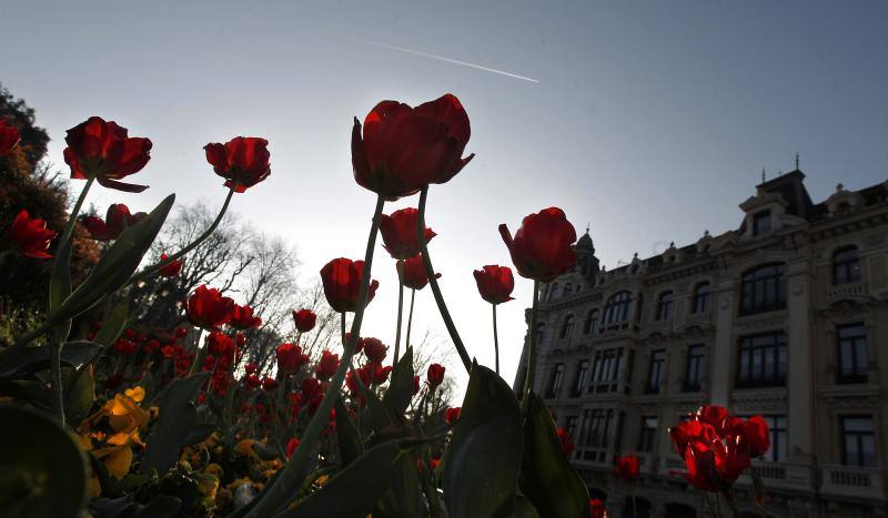 Las imágenes más impactantes de la primavera en Asturias