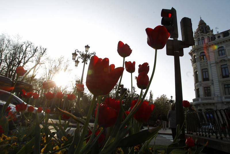 Las imágenes más impactantes de la primavera en Asturias