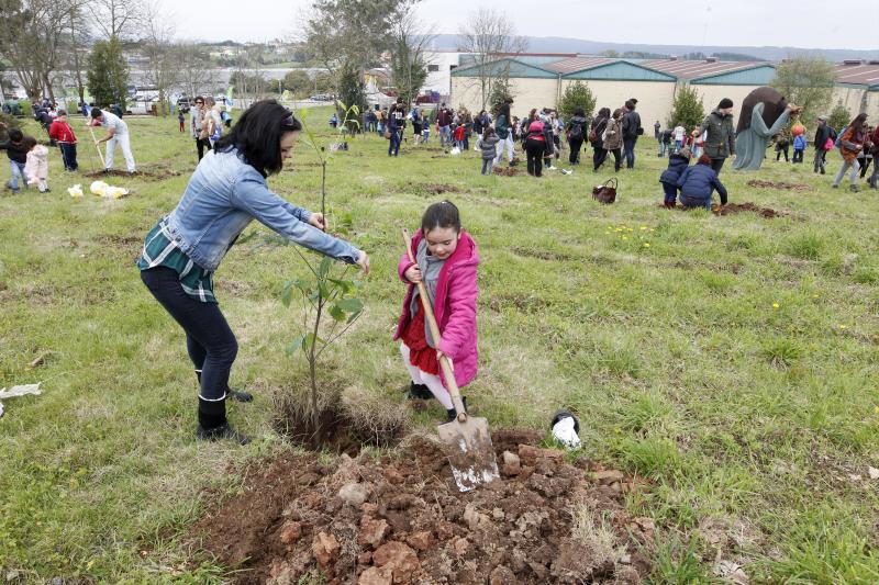 600 árboles para la Viesca