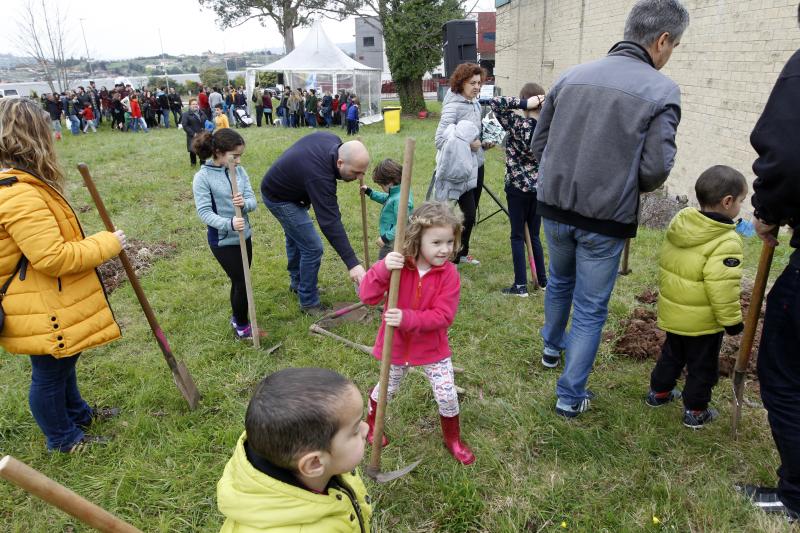 600 árboles para la Viesca